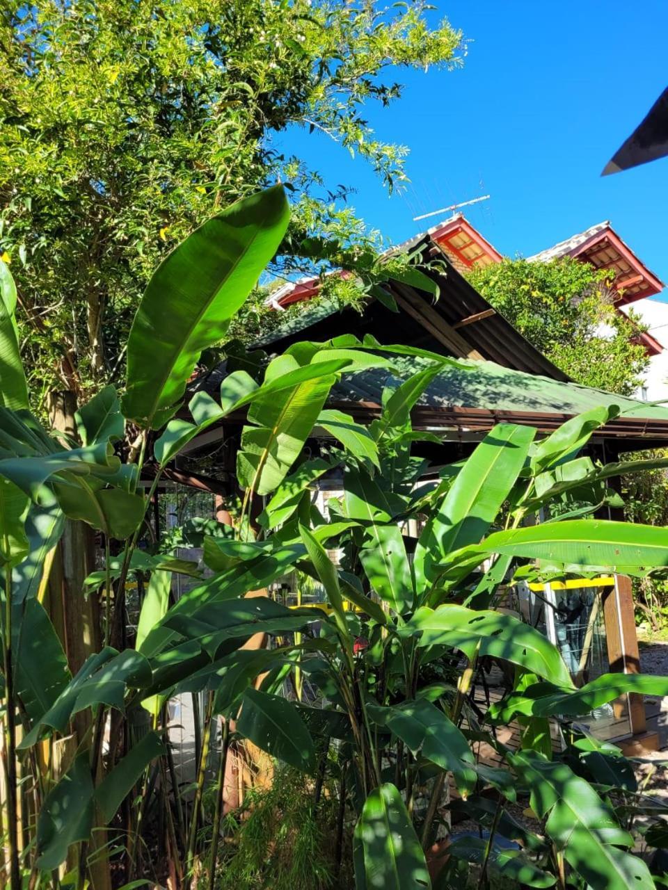 Hotel Recanto Dos Bambus Pousada Florianópolis Exterior foto