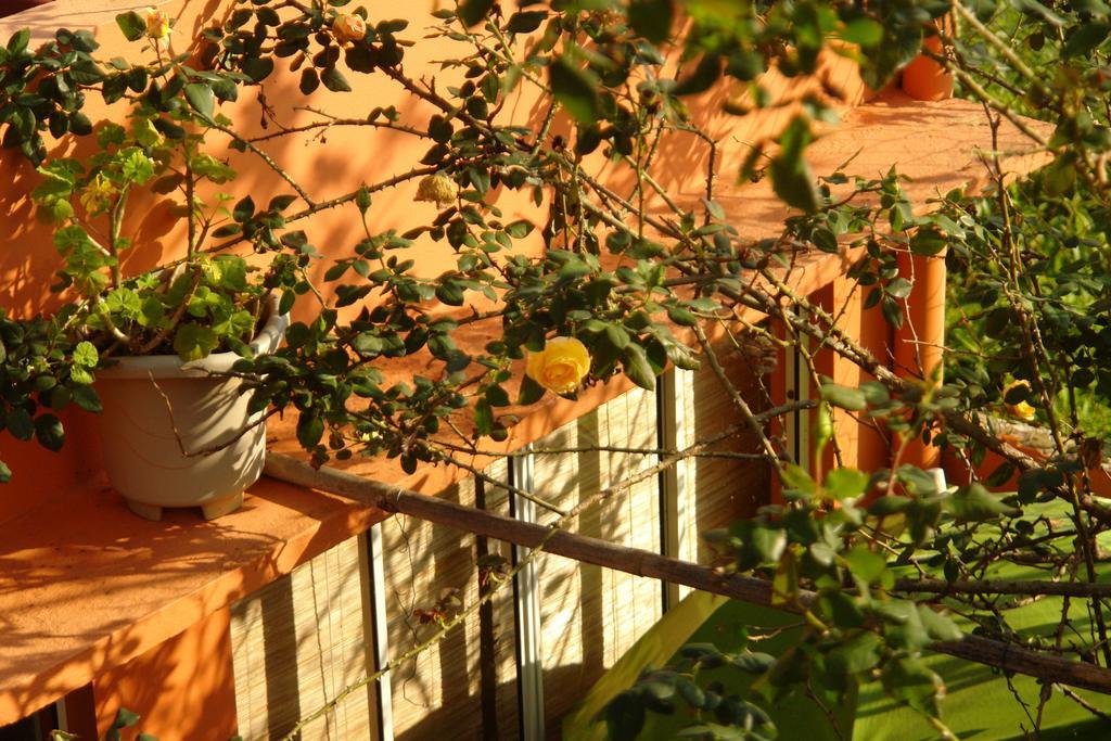 Hotel Recanto Dos Bambus Pousada Florianópolis Exterior foto